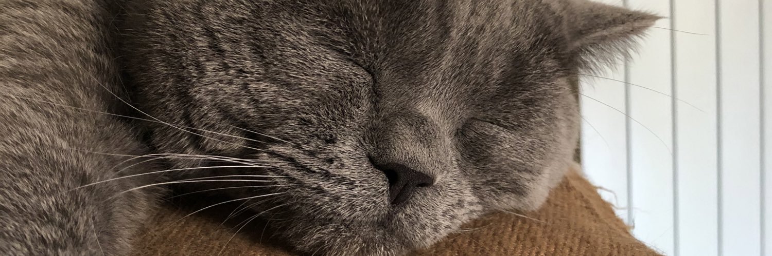 luuslu_'s profile banner image