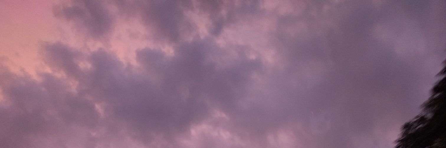 dandelionsass's profile banner image