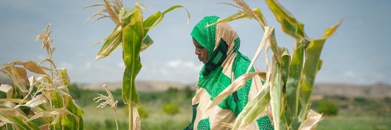 WFP Somalia's banner
