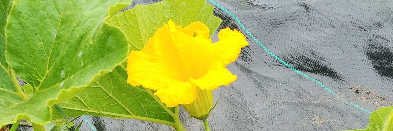 jyyoon79's profile banner image