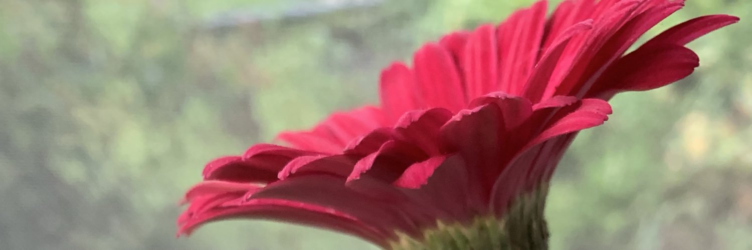 rbranski's profile banner image
