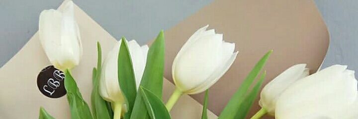 maycuek's profile banner image