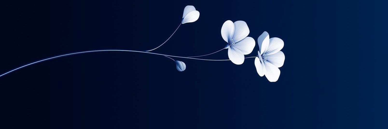 𝐏𝐞𝐨𝐧𝐲𓅯's banner