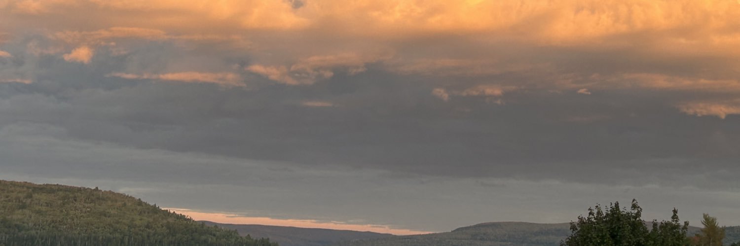 gilson vincent banner