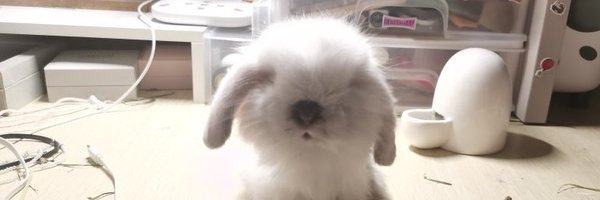 miniskz915 Profile Banner