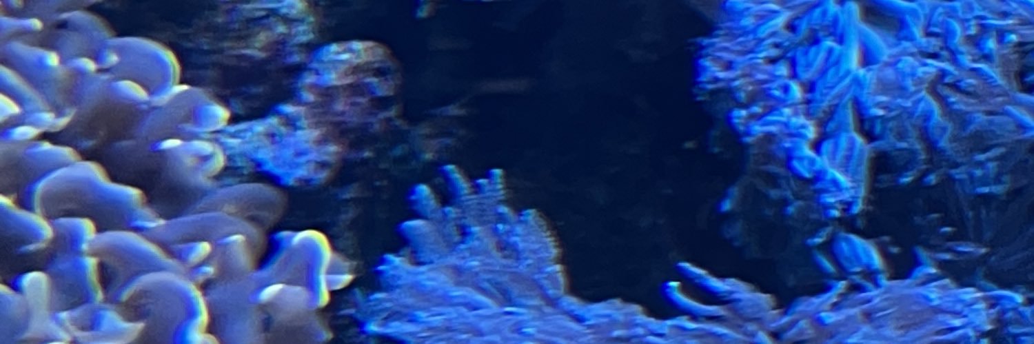 cholin_kani's profile banner image