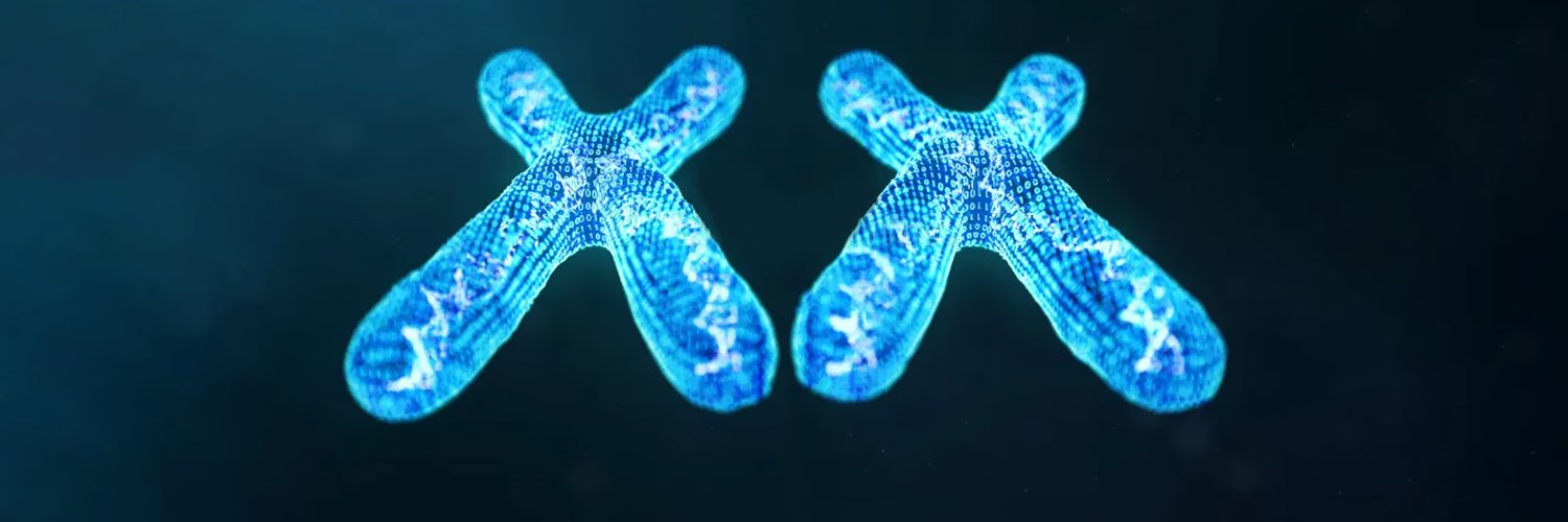 Chromosome banner