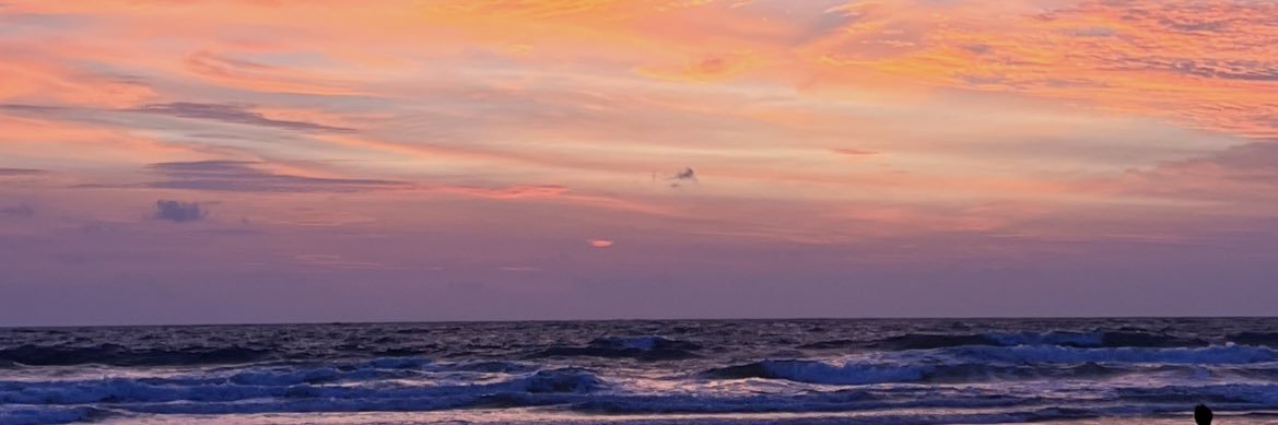 SandyJovan's profile banner image