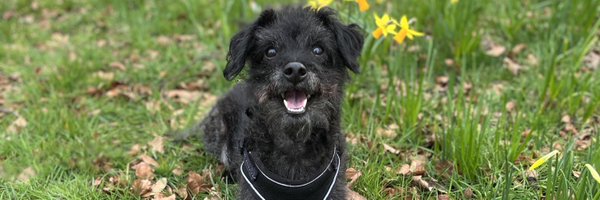 dru_jlh Profile Banner