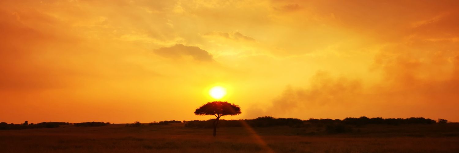 MorganeSK's profile banner image