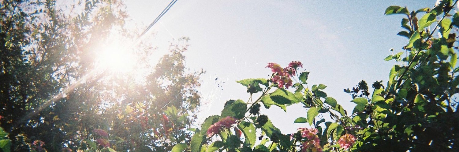 原涼音 banner