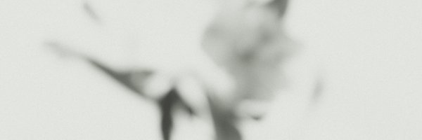 1kano0su4 Profile Banner