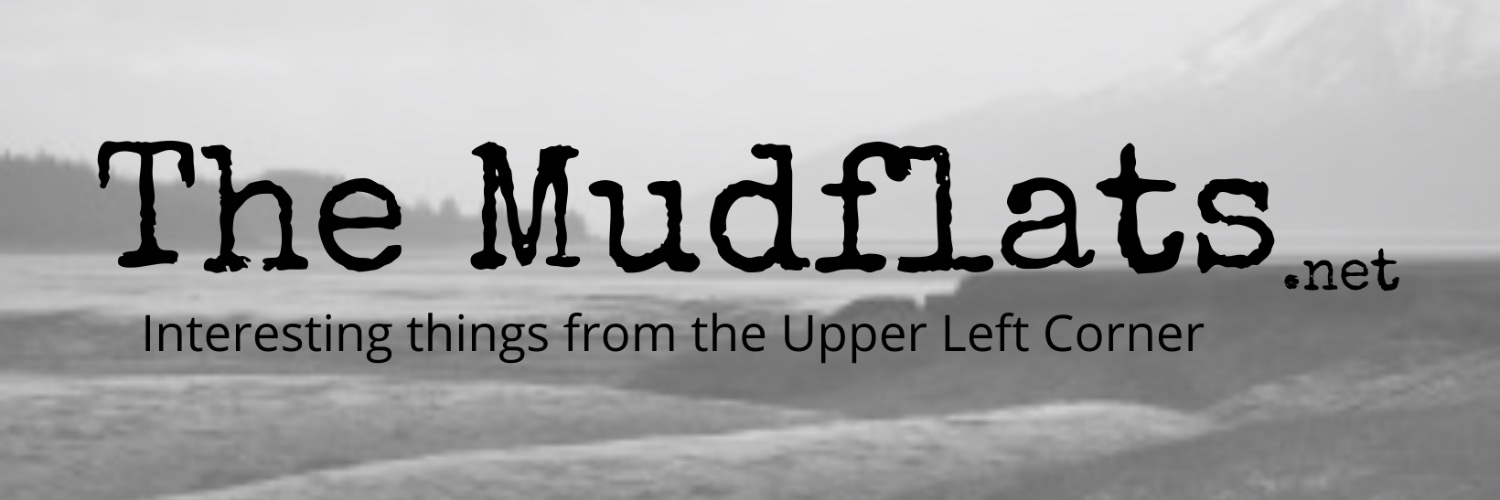 Mudflats banner
