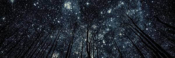 dasras1234's profile banner image