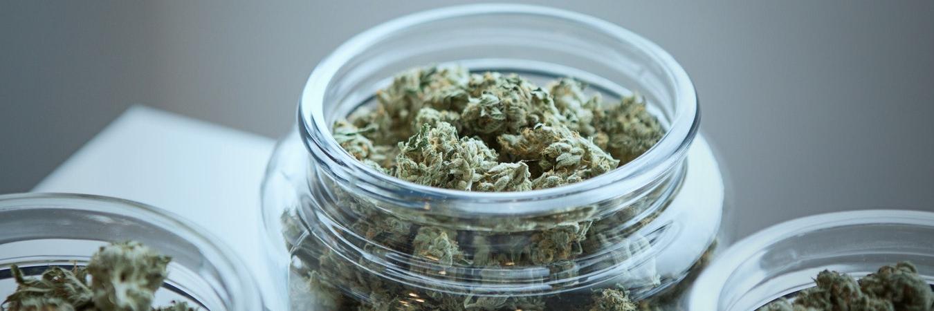 cannamedical's profile banner image