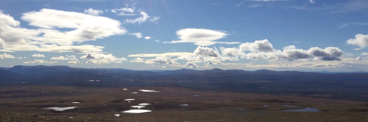 Ellen Carlsen banner