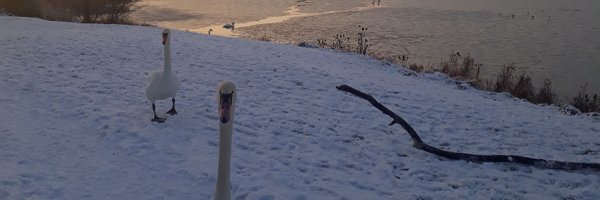 emilyrburnside Profile Banner