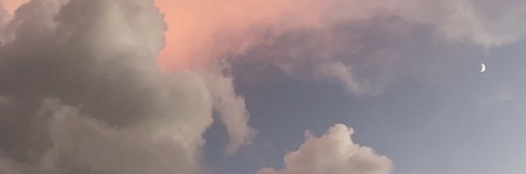 ♪ banner