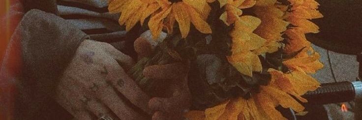 cay. banner