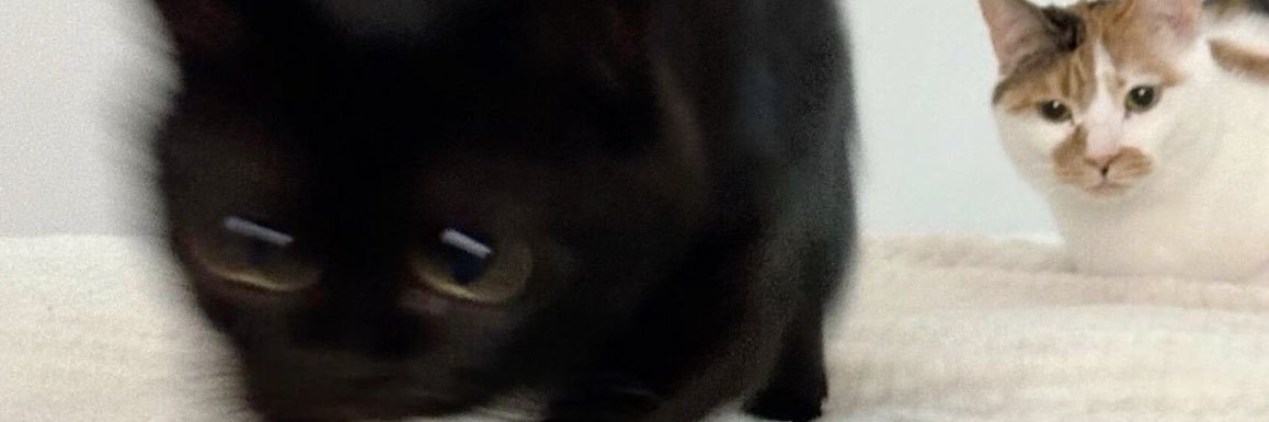 Sujxjos's profile banner image