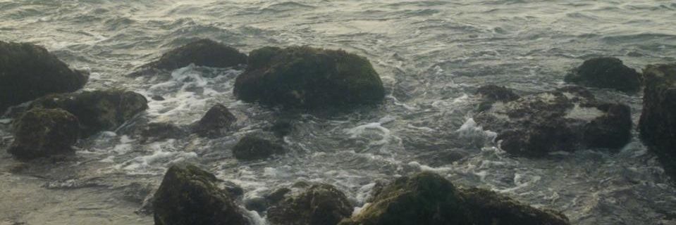 caaaazzy's profile banner image