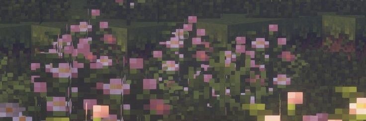 225qill.q's banner