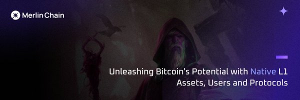 Merlin_Starter Profile Banner