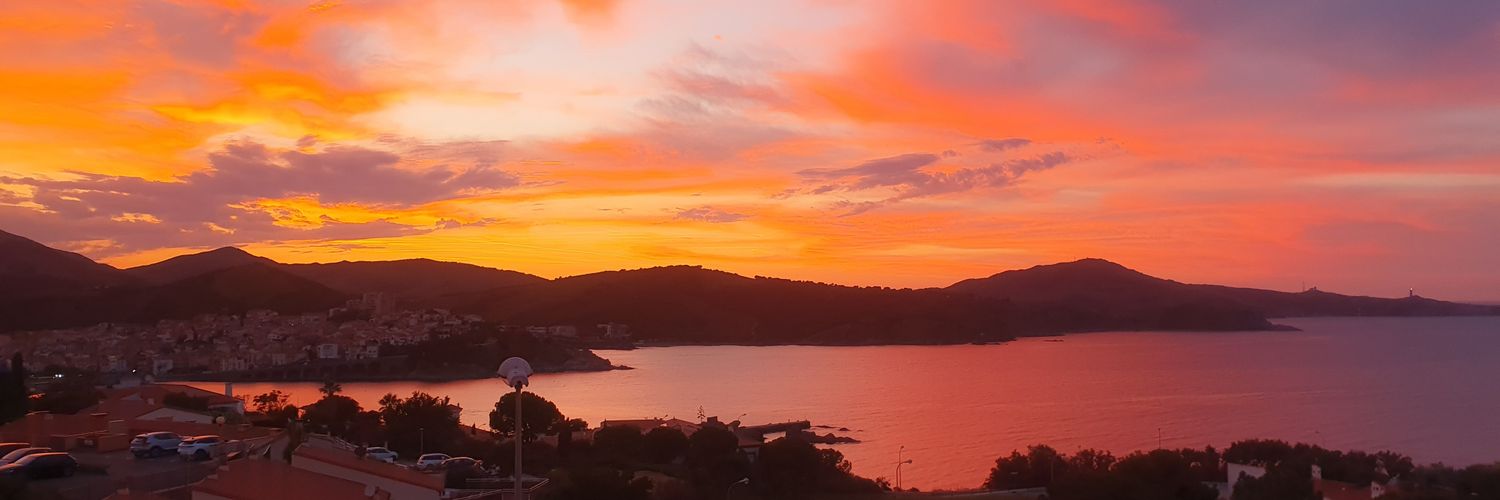 CallMeYgh🇵🇸🚩(jjba sbr era) banner