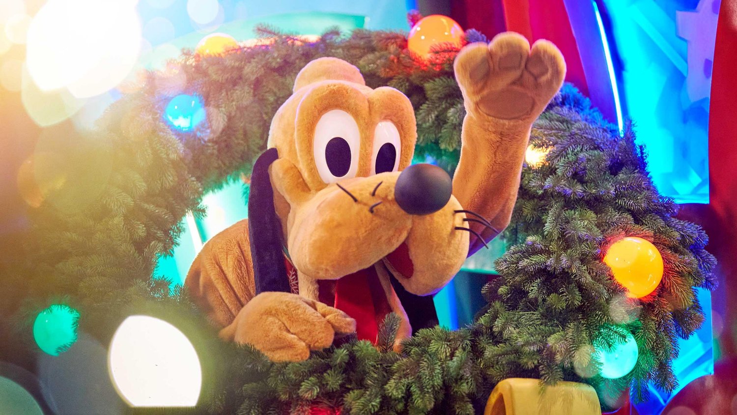 DLP HELP banner