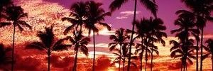 56_SALAS's profile banner image