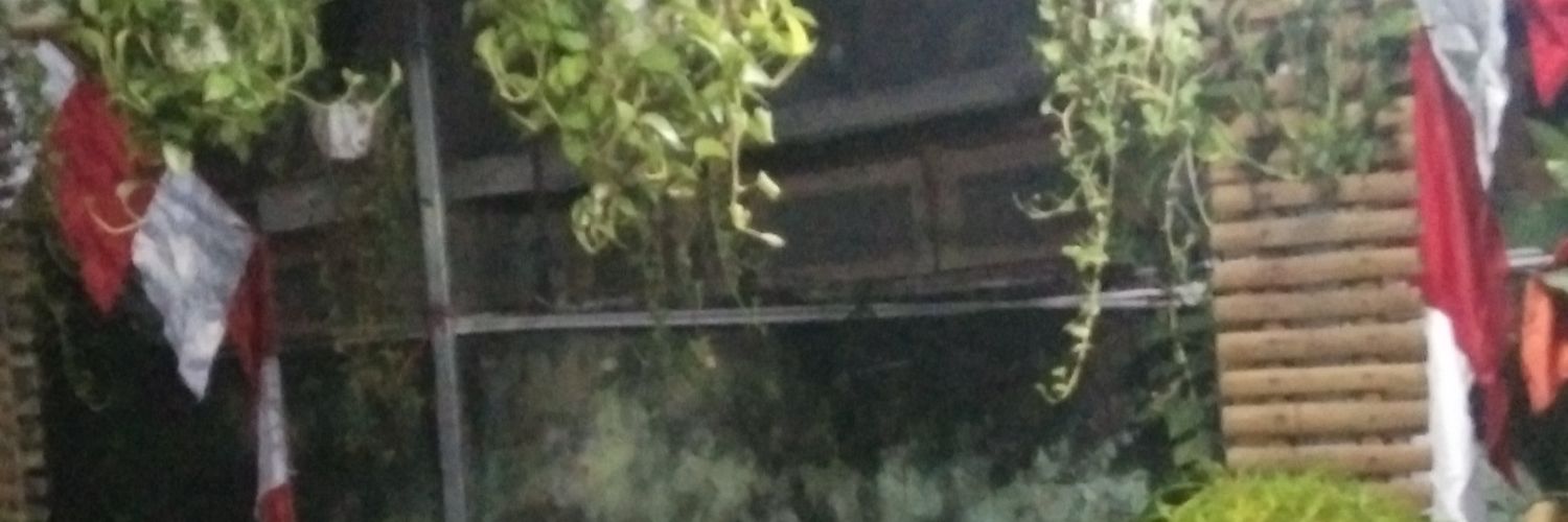 catedoss's profile banner image
