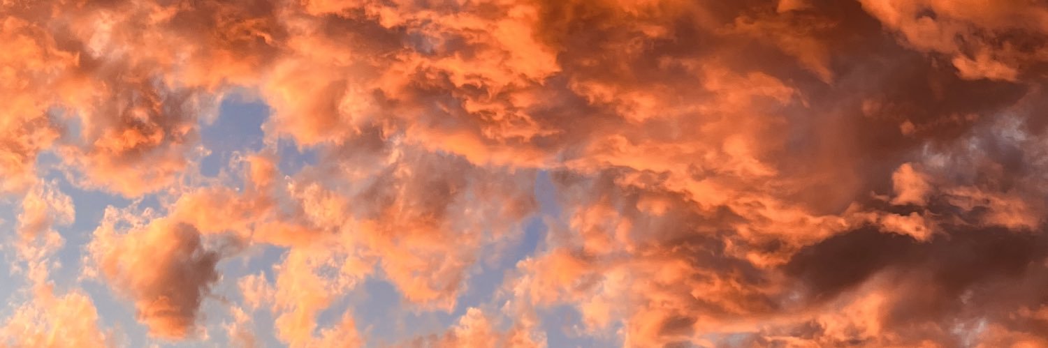 VickySalvi_'s profile banner image
