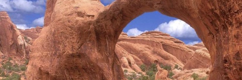 Shannon Hansen banner