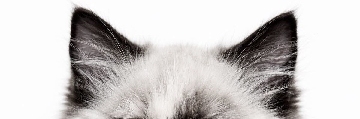 5ixc_v's profile banner image