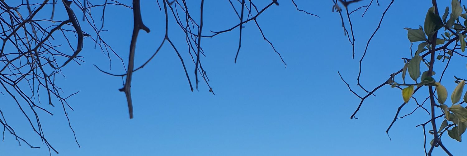 suhadaney's profile banner image
