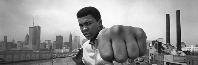 Matt Bauerschmidt banner