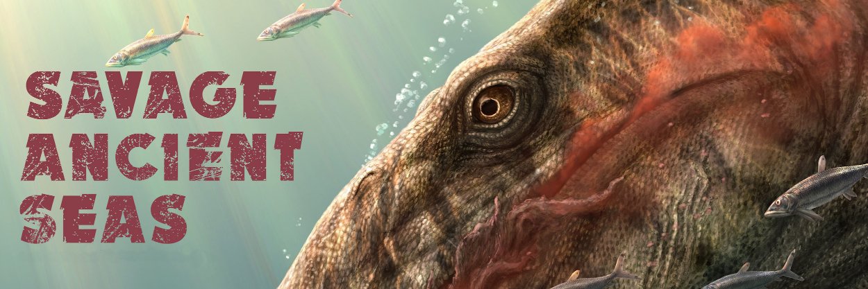 museumatPF's profile banner image