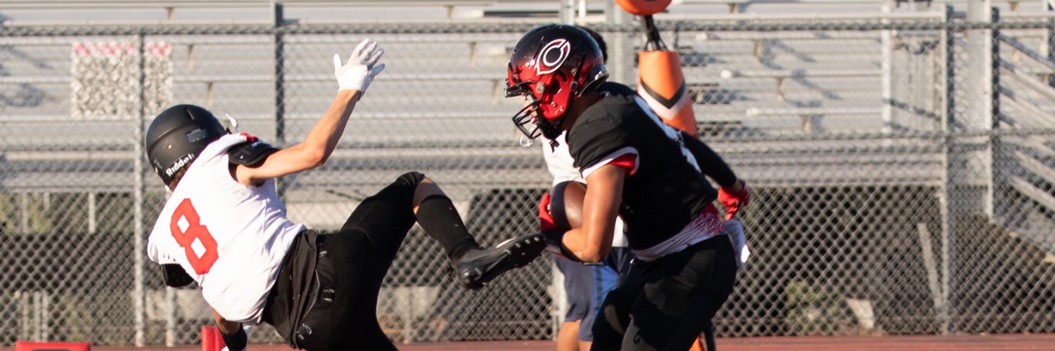 Braylin Drake banner