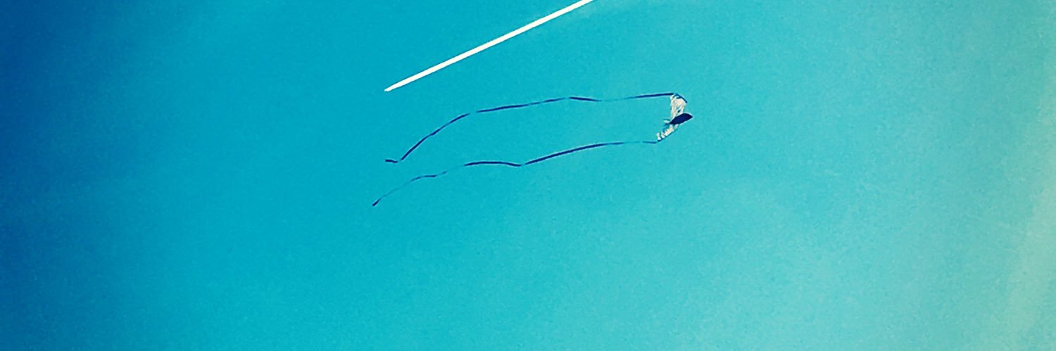 Catherine Earlam banner