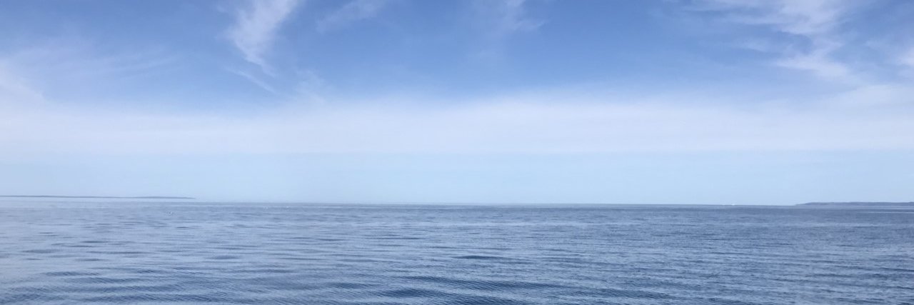 Marlayne Hardy banner