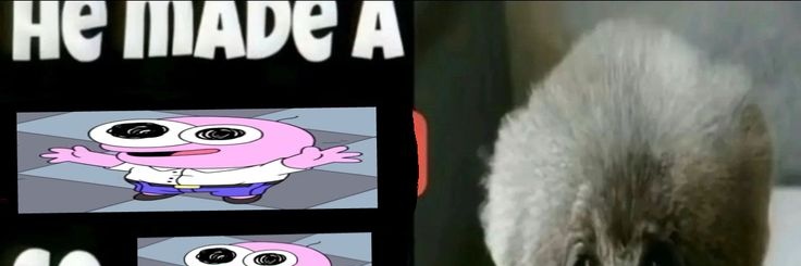 junie / robin ⚢ banner