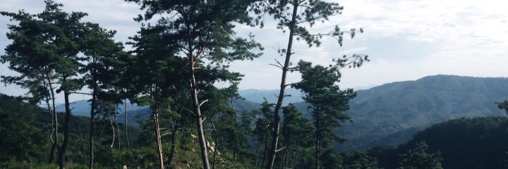 H.Jin Kim(김현진) banner