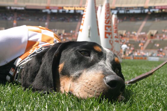 mcmvols's profile banner image