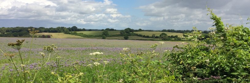 William Carruthers banner