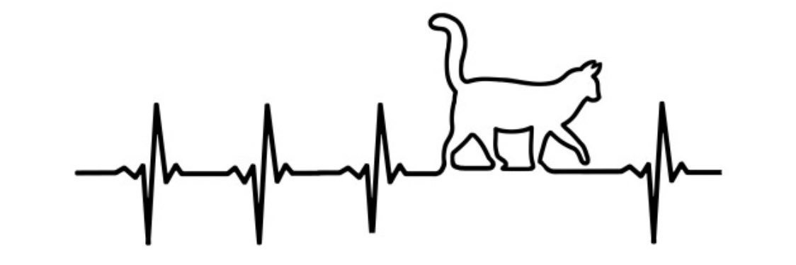 multtskr's profile banner image