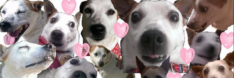 fartzmccool's profile banner image