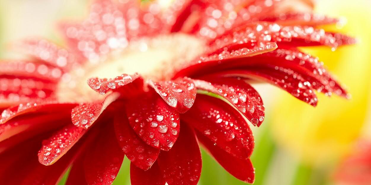 derna76's profile banner image