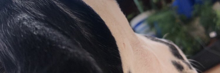 brummms's profile banner image