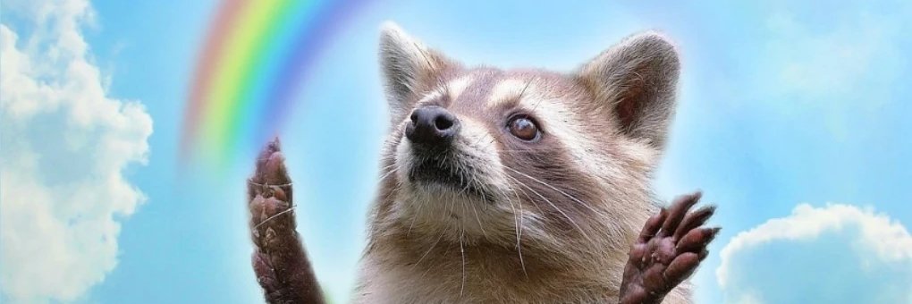 ddmikk's profile banner image