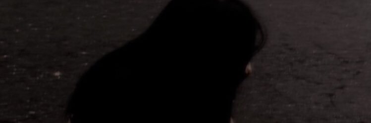 zhenyu9429's profile banner image